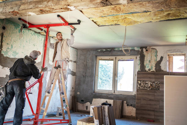 Best Insulation Materials and Products in Ponderosa Park, CO