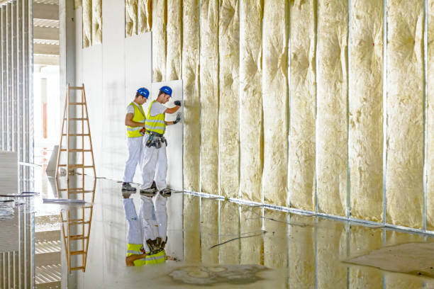 Best Insulation Materials and Products in Ponderosa Park, CO